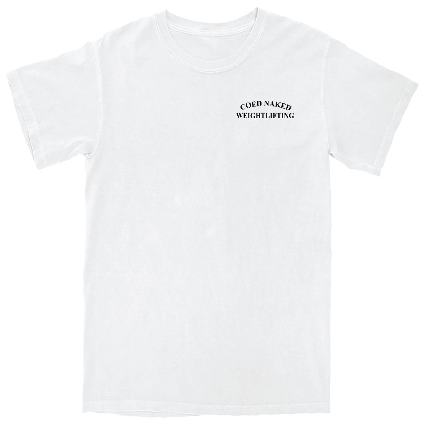 Coed Naked Weightlifting Vintage T-Shirt